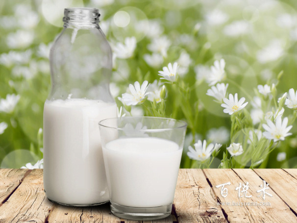 了解這幾點(diǎn),讓你輕松學(xué)會(huì)如何制作奶茶,實(shí)現(xiàn)奶茶自由